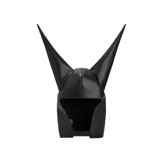 Anonymous Club Dunce Cap