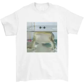 T-Shirt mit Frosch-Motiv
